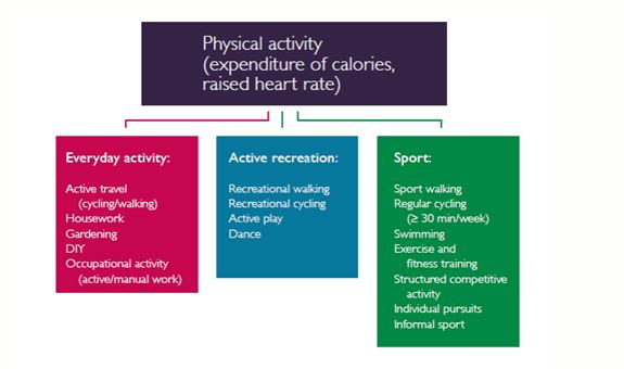 physical activity definition quizlet